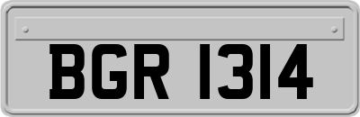 BGR1314