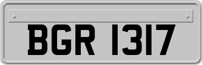 BGR1317