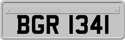 BGR1341