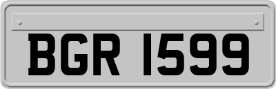 BGR1599