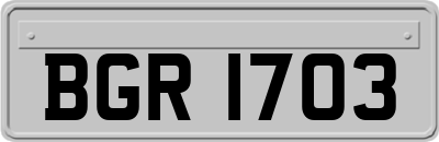 BGR1703