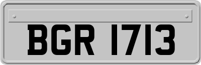 BGR1713
