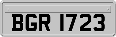 BGR1723