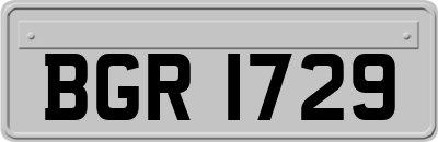 BGR1729