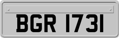 BGR1731
