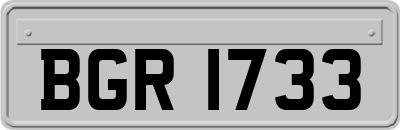 BGR1733