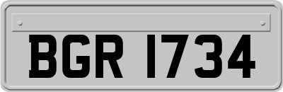 BGR1734