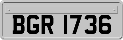 BGR1736