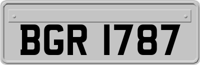 BGR1787