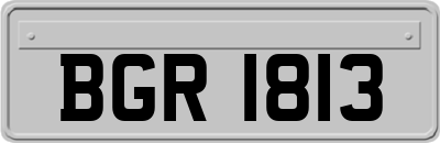 BGR1813
