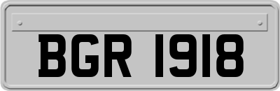 BGR1918