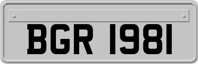 BGR1981