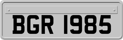 BGR1985