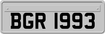 BGR1993
