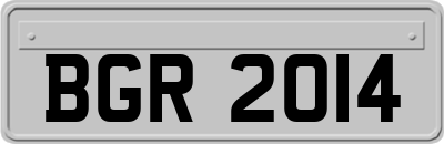 BGR2014