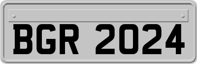 BGR2024