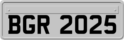 BGR2025