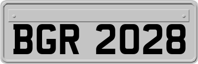 BGR2028