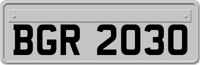 BGR2030