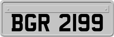 BGR2199