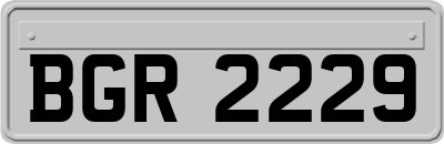 BGR2229