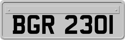 BGR2301