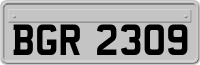 BGR2309