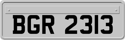 BGR2313