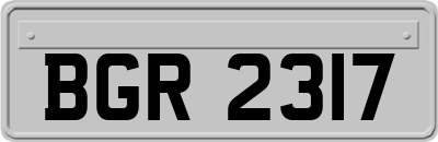 BGR2317