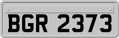 BGR2373