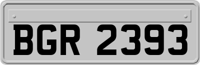 BGR2393
