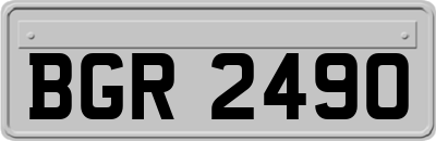 BGR2490