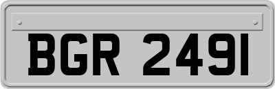 BGR2491