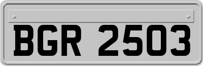 BGR2503