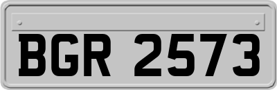 BGR2573