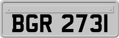 BGR2731