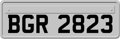 BGR2823