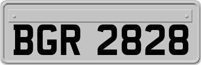 BGR2828