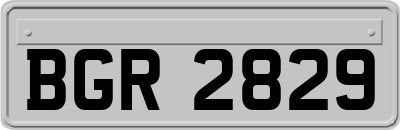 BGR2829