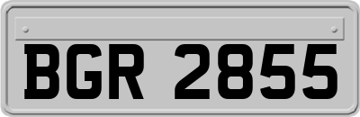 BGR2855