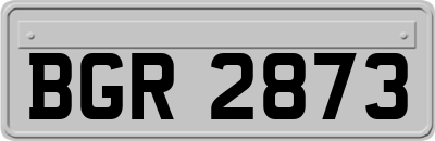 BGR2873