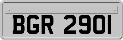 BGR2901
