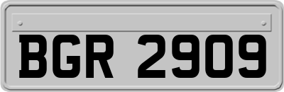 BGR2909