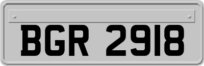 BGR2918