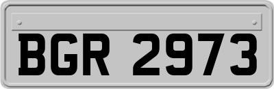 BGR2973