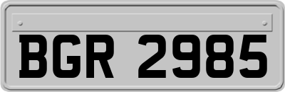 BGR2985