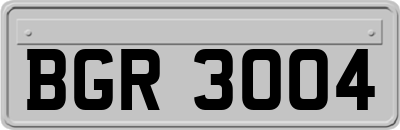 BGR3004