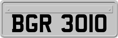 BGR3010