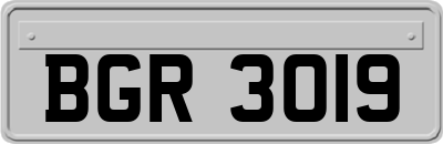 BGR3019