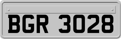 BGR3028